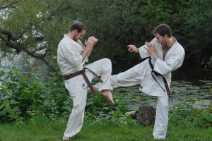Kyokushin – Fotograf: Magnus Hartman