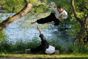Taido - Fotograf: Magnus Hartman