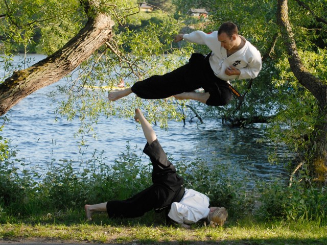 Taido - Fotograf: Magnus Hartman