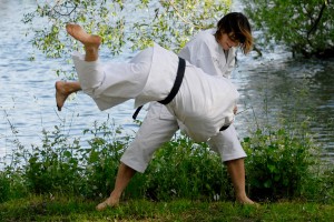 Shorinji Kempo - Fotograf: Magnus Hartman