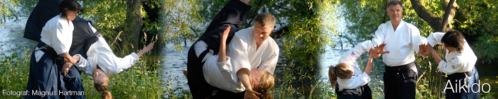 Aikido